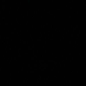 Meet your Posher, Everett